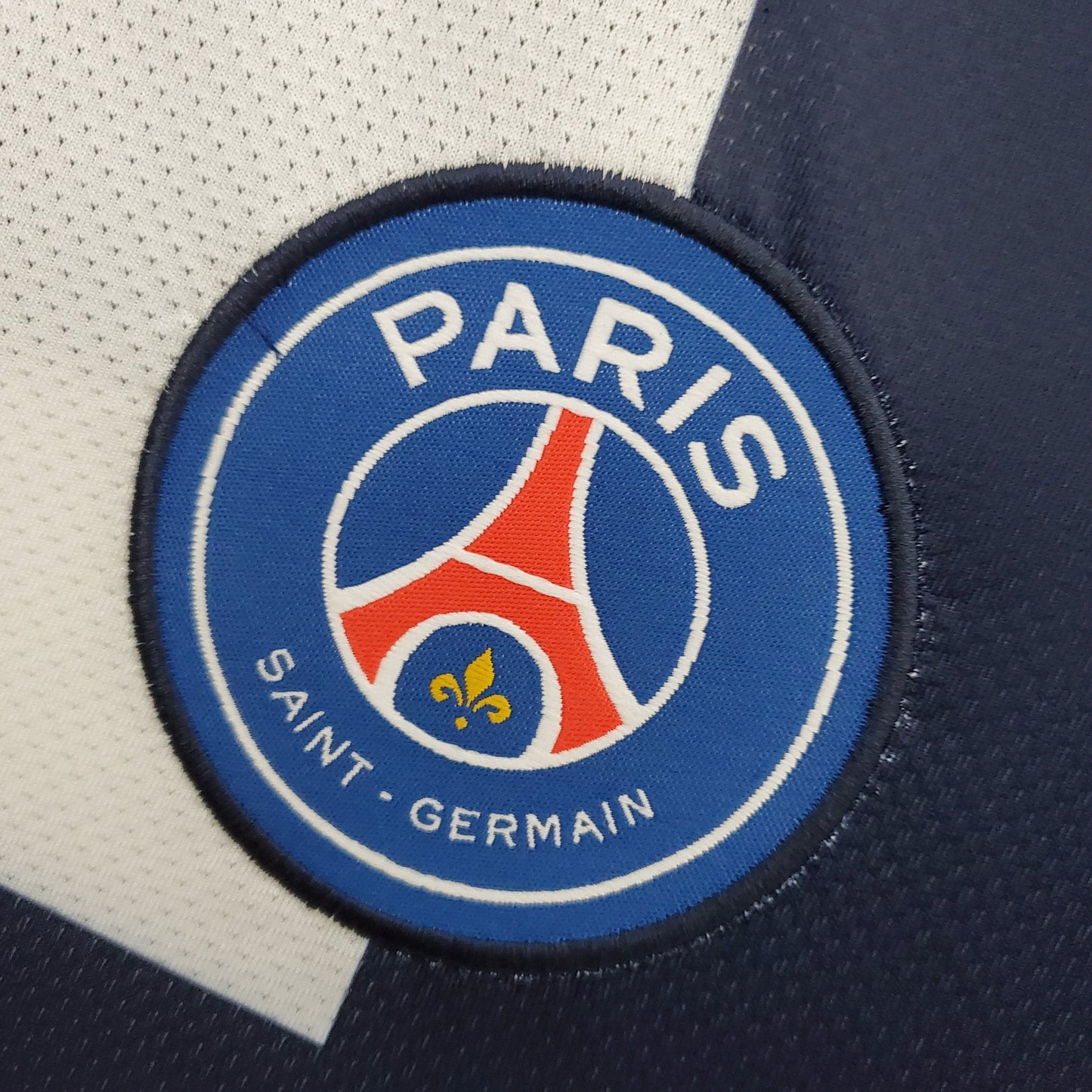 Ibrahimovic 10 - PSG Home 2013/14 Champions League
