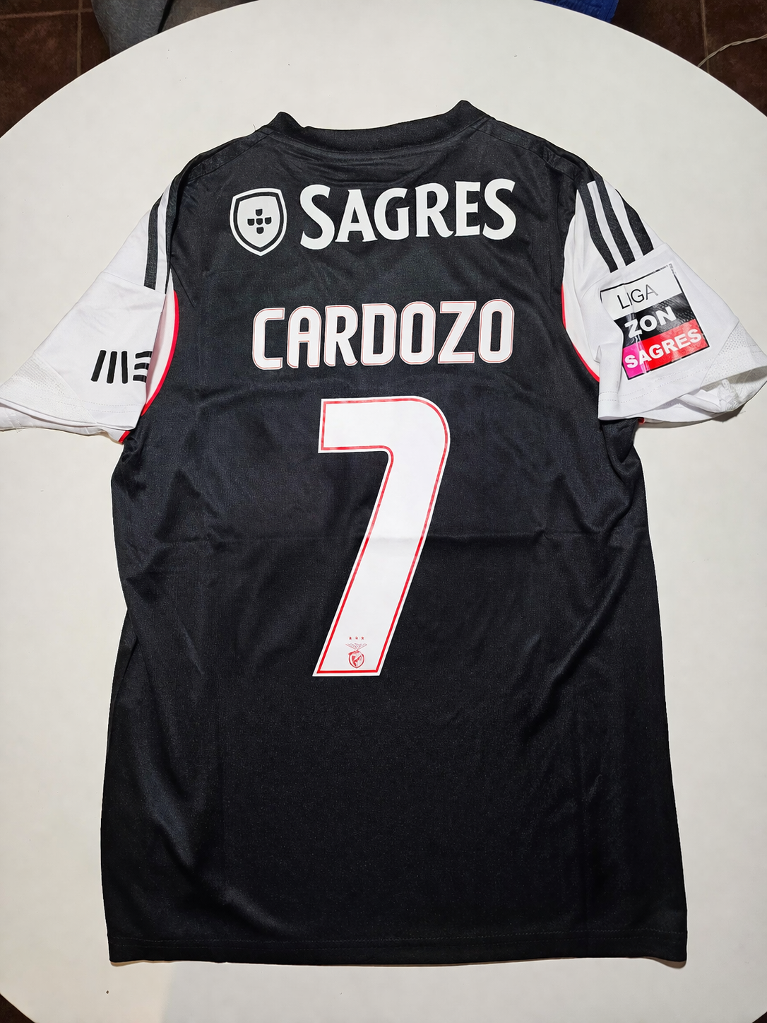 Cardozo 7 - SL Benfica 2013/14 Liga Zon Sagres